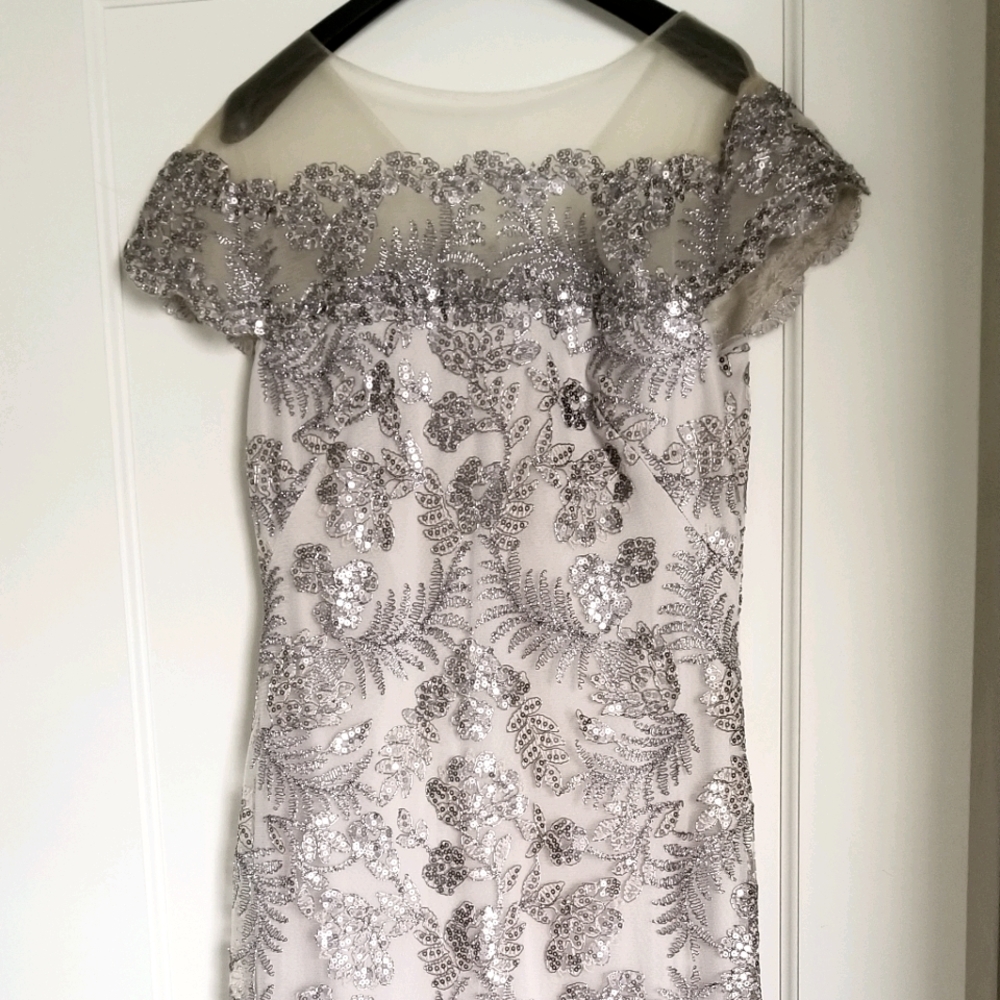 Takashi Shoji evening gown